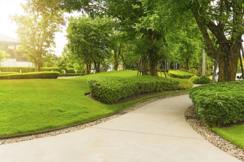 Walkway Replacement in Fort Collins, CO